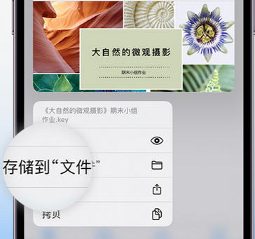 民众镇apple维修中心分享iPhone文件应用中存储和找到下载文件