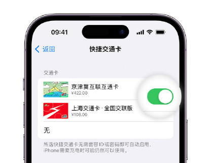 民众镇apple维修点分享iPhone上更换Apple Pay快捷交通卡手绘卡面 