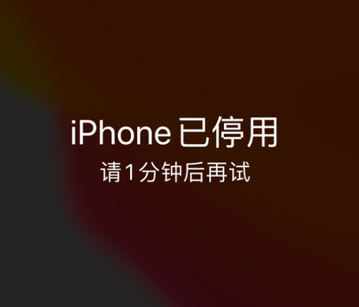 民众镇苹果手机维修分享:iPhone 显示“不可用”或“已停用”怎么办？还能保留数据吗？ 