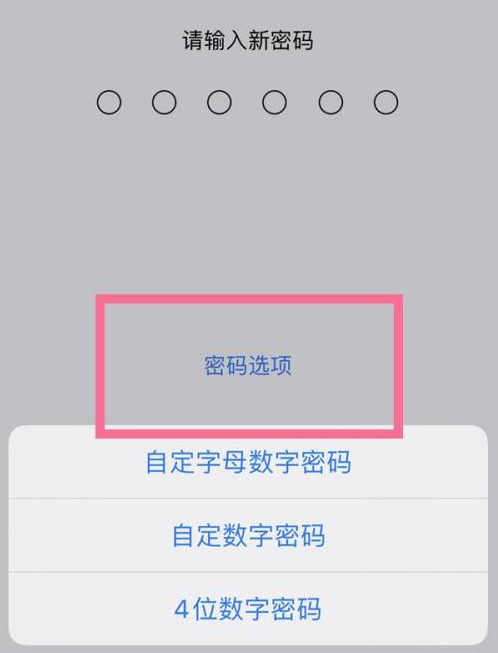 民众镇苹果14维修分享iPhone 14plus设置密码的方法 