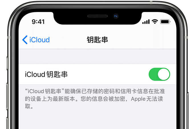 民众镇苹果手机维修分享在 iPhone 上开启 iCloud 钥匙串之后会储存哪些信息 