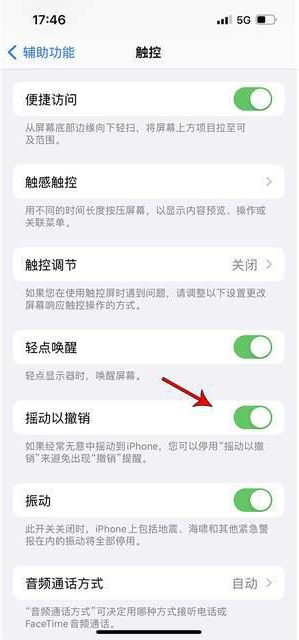 民众镇苹果手机维修分享iPhone手机如何设置摇一摇删除文字 